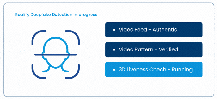 Realify Deepfake Detection runnings